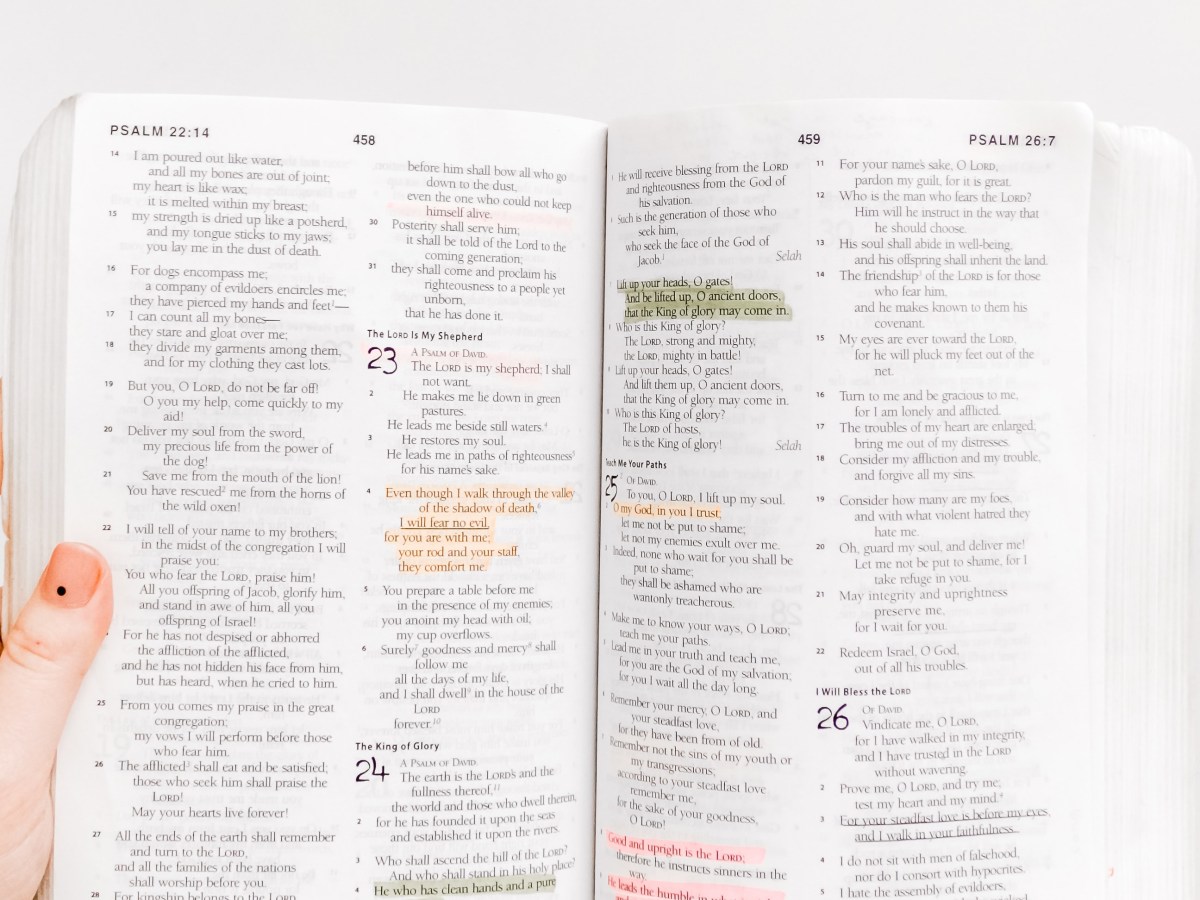 Choosing to Seek&nbsp;God